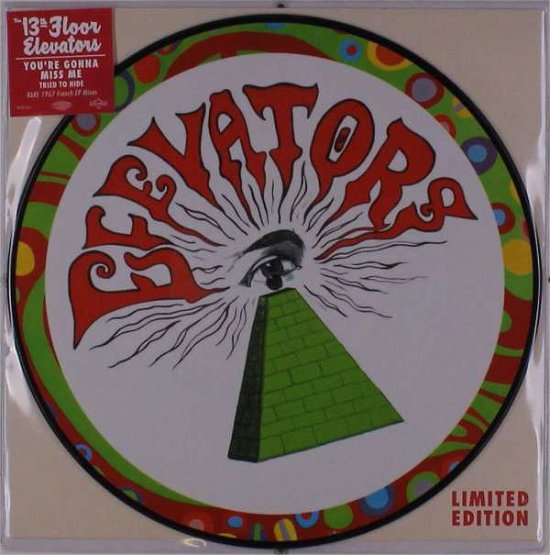 Cover for 13th Floor Elevators · You're Gonna Miss Me (LP) [Picture Disc edition] (2020)
