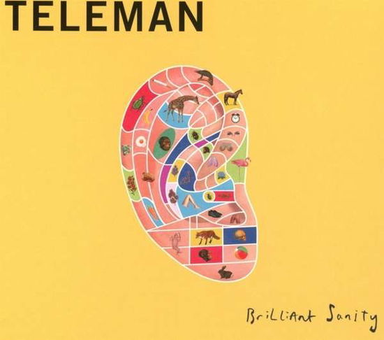 Cover for Teleman · Brilliant Sanity (CD) (2016)