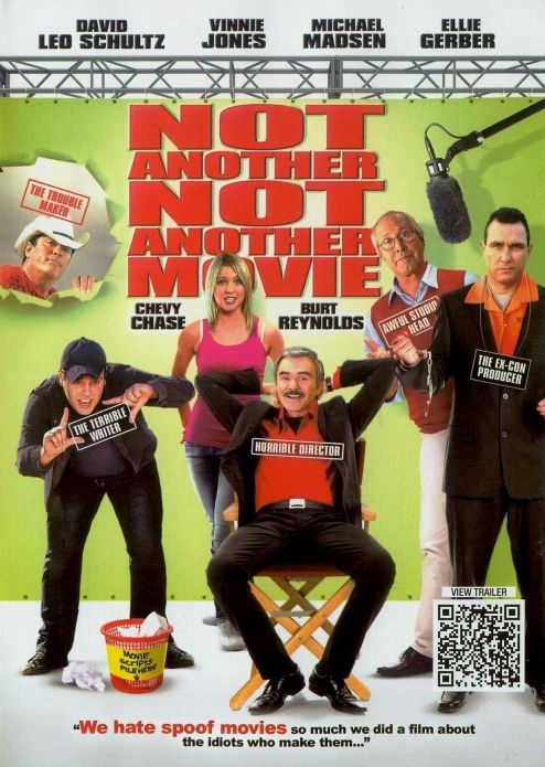 Cover for Not Another Not Another Movie (DVD) (2012)