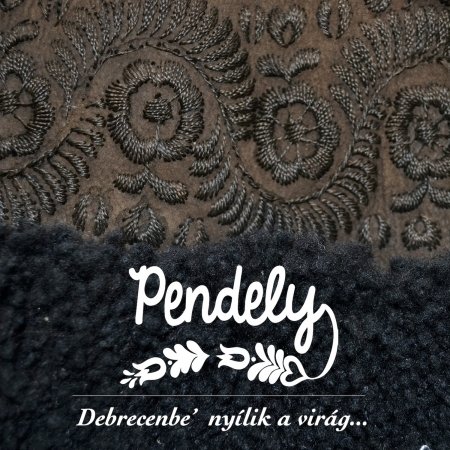 Cover for Pendely · Debrecenbe' Nyilik A Virag (CD) (2021)