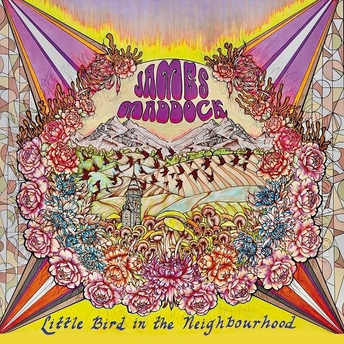 Little Bird In The Neighbourhood - James Maddock - Musiikki - APPALOOSA - 8012786025124 - maanantai 28. kesäkuuta 2021