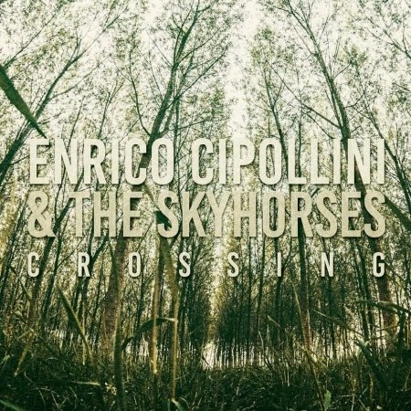 Cover for Cipollini,enrico / Skyhorses · Crossing (CD) (2020)