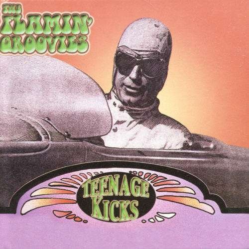 Cover for Flamin Groovies · Teenage Kicks (CD) (2004)