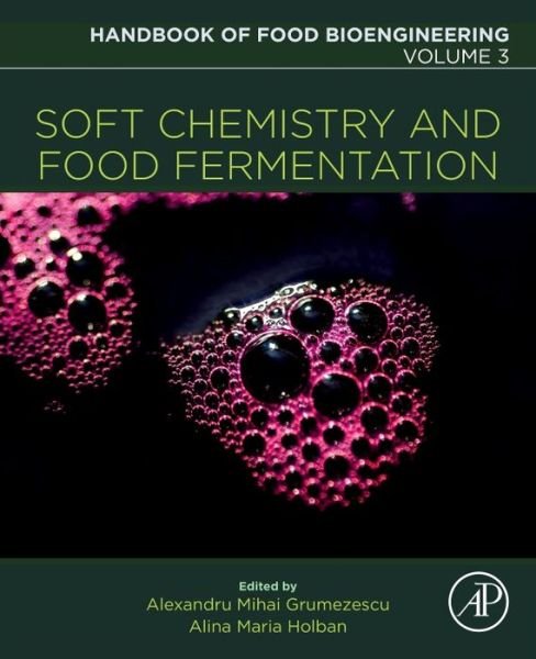 Cover for Holban · Soft Chemistry and Food Fermentation - Handbook of Food Bioengineering (Paperback Book) (2017)