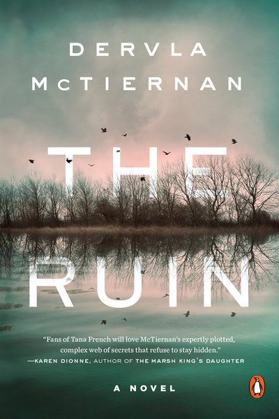 Cover for Dervla McTiernan · The Ruin: A Novel - A Cormac Reilly Mystery (Pocketbok) (2018)