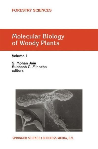 Cover for Mohan Jain · Molecular Biology of Woody Plants: Volume 1 - Forestry Sciences (Hardcover Book) [2000 edition] (1999)