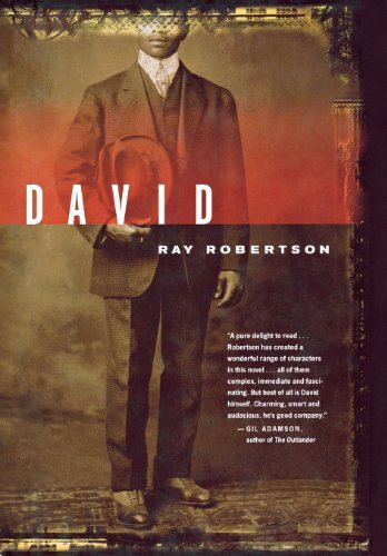 Cover for Ray Robertson · David: a Novel (Inbunden Bok) (2009)