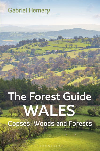 Gabriel Hemery · The Forest Guide: Wales: Copses, Woods and Forests of Wales - Forest Guides (Taschenbuch) (2025)