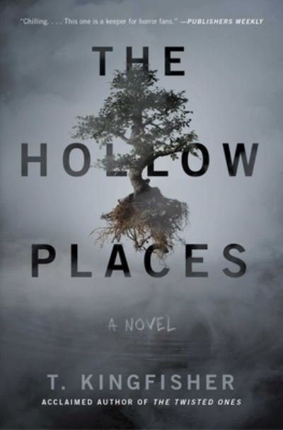 Cover for T. Kingfisher · The Hollow Places: A Novel (Taschenbuch) (2020)