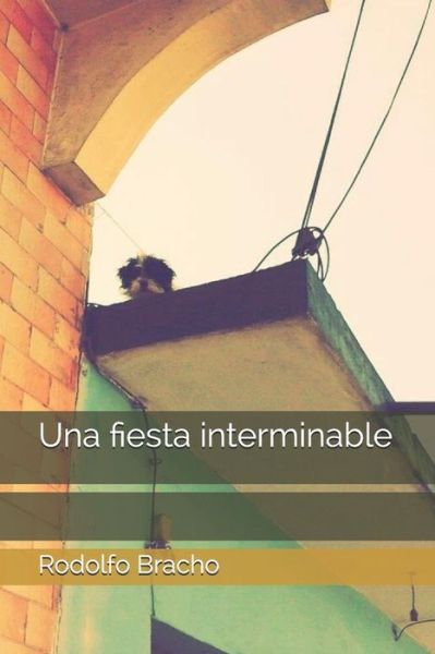 Cover for Rodolfo Bracho · Una Fiesta Interminable (Paperback Book) (2018)