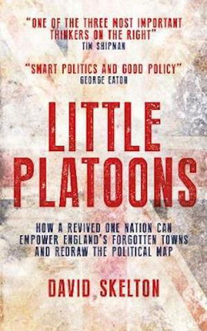 Cover for David Skelton · Little Platoons: How a revived One Nation can empower England's forgotten towns and redraw the political map (Taschenbuch) (2019)