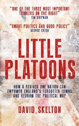 Cover for David Skelton · Little Platoons: How a revived One Nation can empower England's forgotten towns and redraw the political map (Paperback Book) (2019)