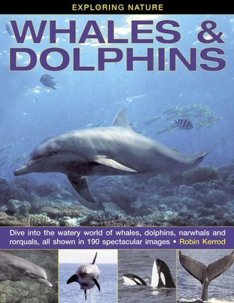 Cover for Robin Kerrod · Exploring Nature: Whales &amp; Dolphins: Dive into the Watery World of Whales, Dolphins, Narwhals and Rorquals, All Shown in 190 Spectacular Images (Hardcover bog) (2014)
