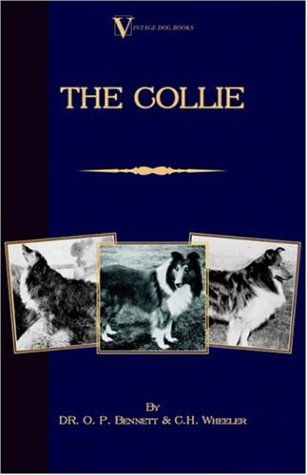Cover for Dr O. P. Bennett · The Collie (Vintage Dog Books Breed Classic) (Taschenbuch) (2005)