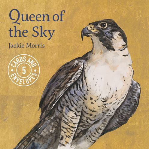 Jackie Morris Queen of the Sky Cards Pack 1 - Jackie Morris - Kirjat - Graffeg Limited - 9781910862124 - keskiviikko 3. elokuuta 2016