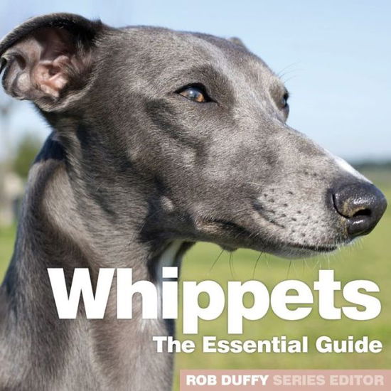 Whippets: The Essential Guide - Rob Duffy - Bücher - BX Plans Ltd - 9781913296124 - 30. März 2020