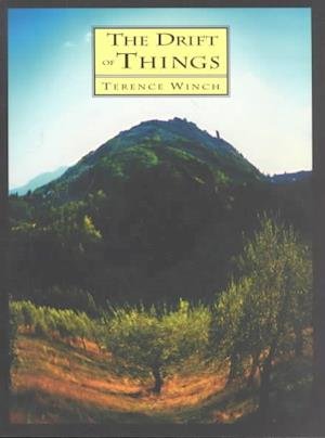 Cover for Terence Winch · The Drift of Things (Paperback Book) (2001)