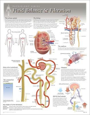 Cover for Scientific Publishing · Fluid Balance &amp; Filtration Laminated Poster (Landkarten) (2013)