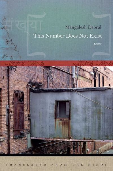 Cover for Mangalesh Dabral · This Number Does Not Exist (Paperback Book) (2016)