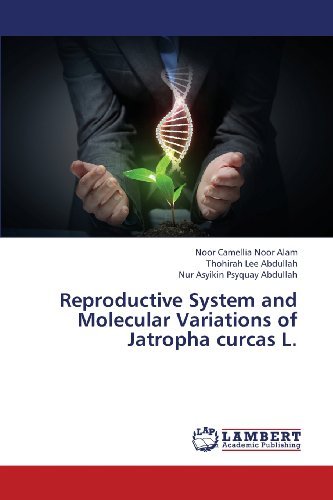 Cover for Nur Asyikin Psyquay Abdullah · Reproductive System and Molecular Variations of Jatropha Curcas L. (Paperback Book) (2013)