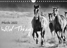 Cover for Sabine Peters · Pferde 2022 Wild Thing (Wandkalender 2022 DIN A4 quer) (Calendar) (2021)