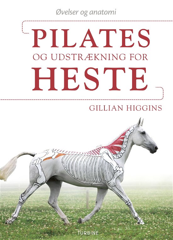 Cover for Gillian Higgins · Pilates og udstrækning for heste (Sewn Spine Book) [1st edition] (2019)