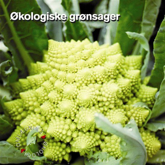 Cover for Jan Jensen · Økologiske grønsager (Buch) [2. Ausgabe] (2002)