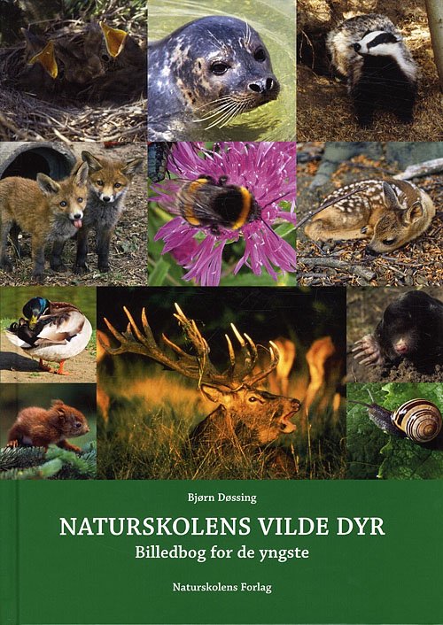 Naturskolens vilde dyr -  - Kirjat - Naturskolens forlag - 9788799149124 - lauantai 1. lokakuuta 2011