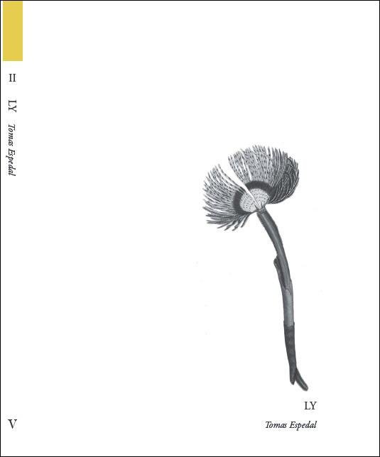 Cover for Tomas Espedal · Ly (Sewn Spine Book) [1º edição] (2014)