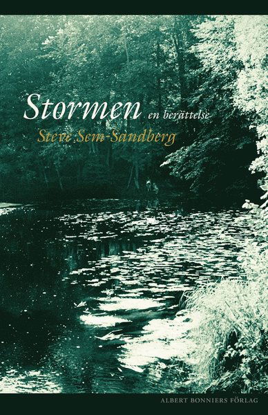 Cover for Steve Sem-Sandberg · Stormen : en berättelse (ePUB) (2016)