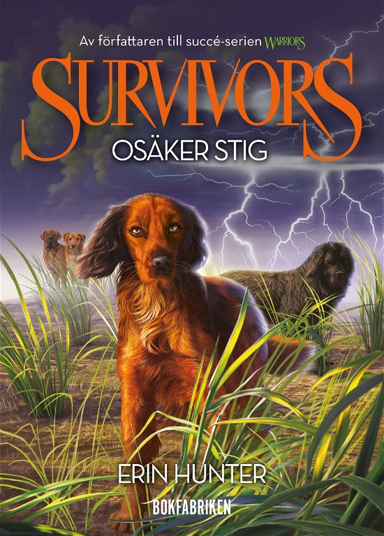 Survivors 1:4 Osäker stig - Erin Hunter - Kirjat - Bokfabriken - 9789180313124 - torstai 16. toukokuuta 2024