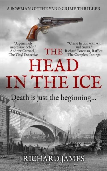 Cover for Richard James · The Head In The Ice (Paperback Bog) (2020)