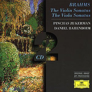 Cover for J. Brahms · Violin &amp; Viola Sonatas (CD) (1999)