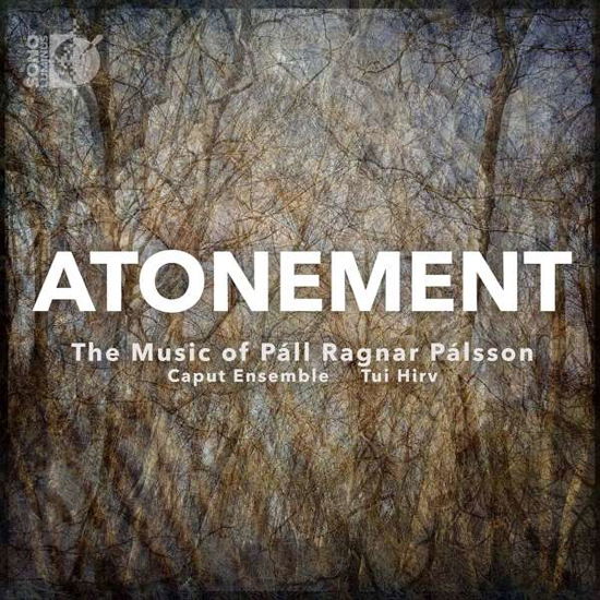 Atonement - Palsson / Caput Ensemble / Hirv - Muzyka - SONO LUMINUS - 0053479224125 - 22 maja 2020