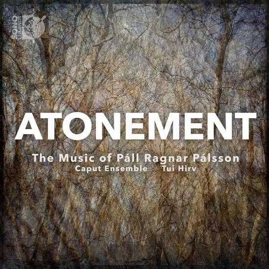 Cover for Palsson / Caput Ensemble / Hirv · Atonement (CD) (2020)