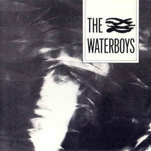 The Waterboys - Waterboys the - Musik - CHRYSALIS - 0094632154125 - 1. Februar 2019