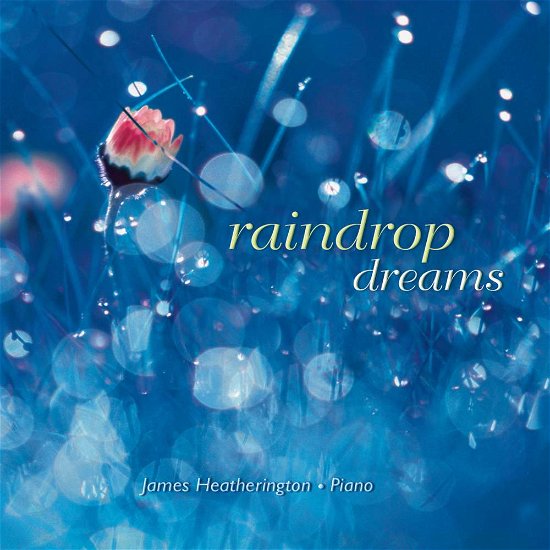 Cover for Reflections · Raindrop Dreams (CD)