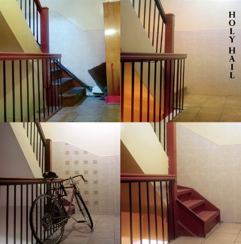 Cover for Holy Hail · The Dying Party (LP) (2010)