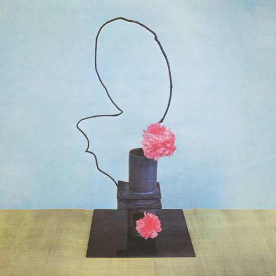 Cover for Methyl Ethel · Oh Inhuman Spectacle (CD) (2016)