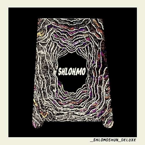 Cover for Shlohmo · Shlomoshun Redux (CD) (2010)