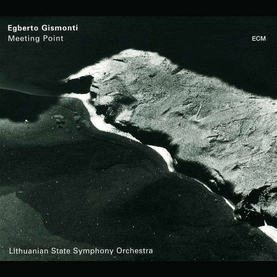 Cover for Gismonti Egberto · Meeting Point (CD) (1997)
