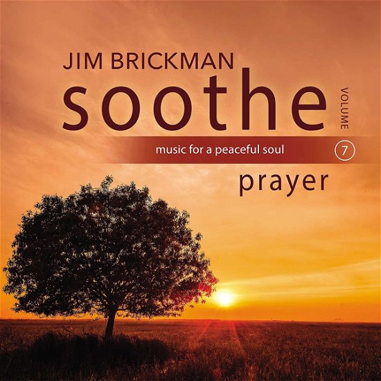 Soothe Vol.7:prayer - Jim Brickman - Muziek - POP - 0792755638125 - 12 november 2021