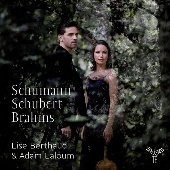 Cover for Schumann / Schubert / Brahms · Works For Viola &amp; Piano (CD) (2013)
