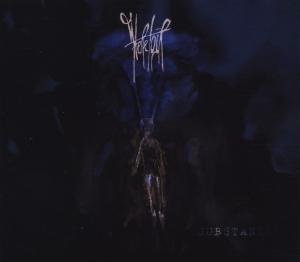 Cover for Heretoir · Substanz (CD) (2012)
