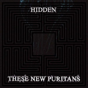 These New Puritans - Hidden - These New Puritans - Muzyka - DOMINO - 5034202024125 - 14 stycznia 2010