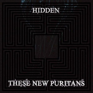 Hidden - These New Puritans - Música - DOMINO - 5034202024125 - 14 de enero de 2010