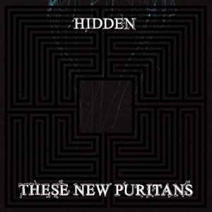 Cover for These New Puritans · These New Puritans - Hidden (CD) (2010)