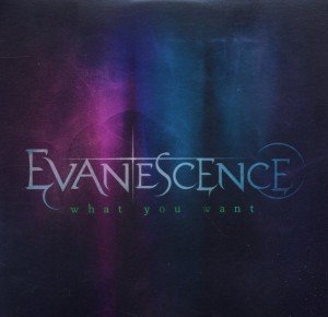 What You Want - Evanescence - Muziek - WINDUP - 5099967887125 - 8 september 2011