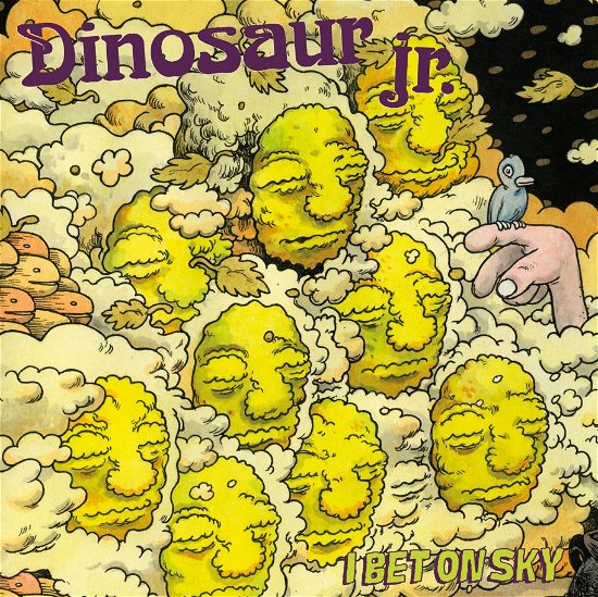 Cover for Dinosaur Jr. · I Bet on Sky (CD) [Digipak] (2012)
