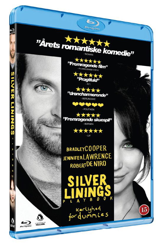 Cover for Silver Linings Playbook (Blu-Ray) (2013)